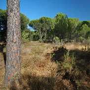 Wildlife writer and journalist James Fair visited Andalucia