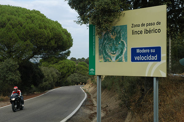 James Fair visits Doñana National Park