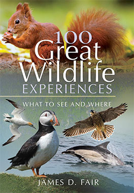 100 Great Wildlife Exeriences of Great Britain by James Fair