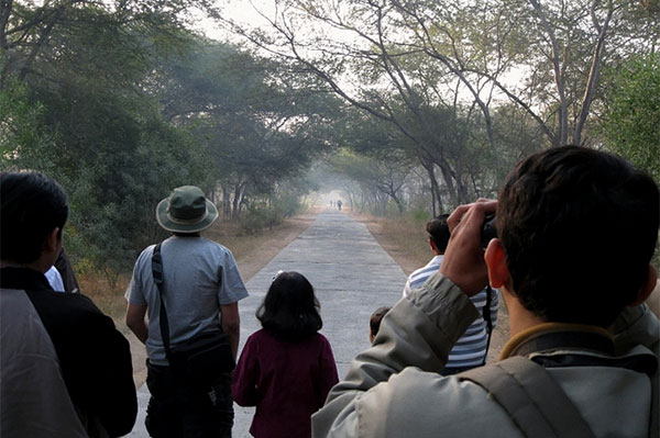 Naturalists on the Spectrum by wildlife journalist James Fair