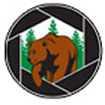 Slovenian Bears